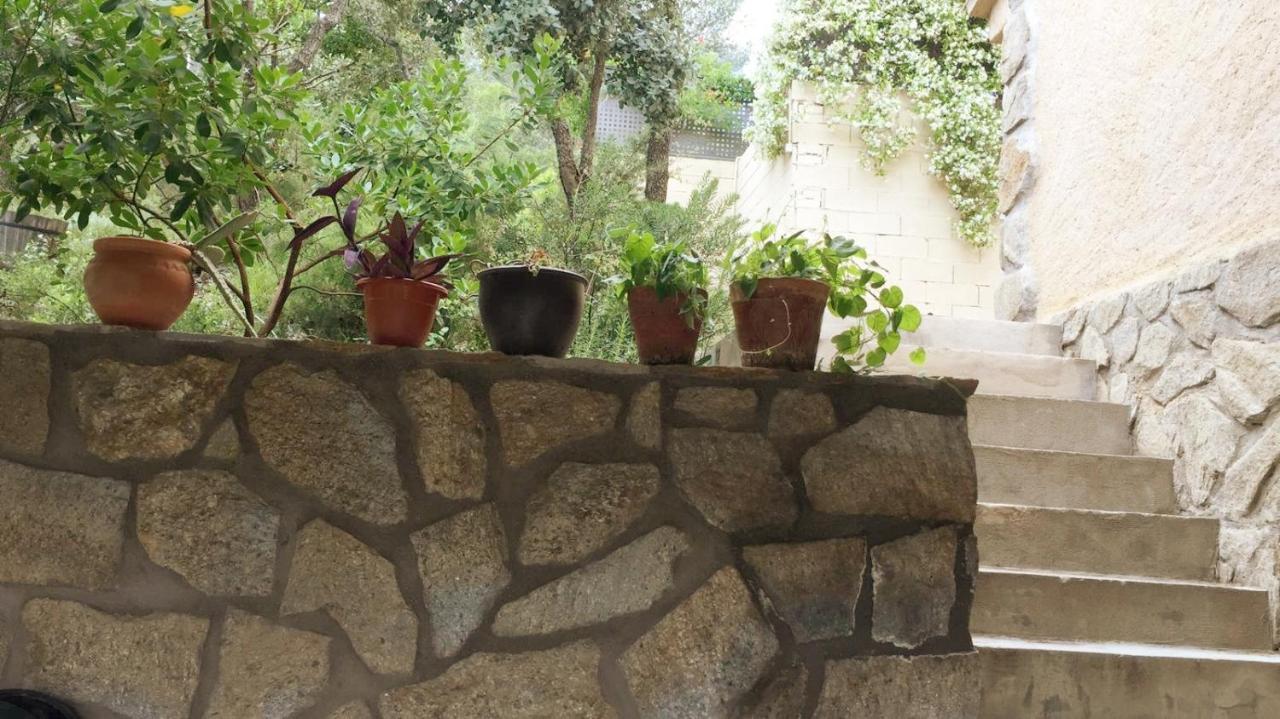 Casa Rural Lago Bolarque Albalate De Zorita 외부 사진